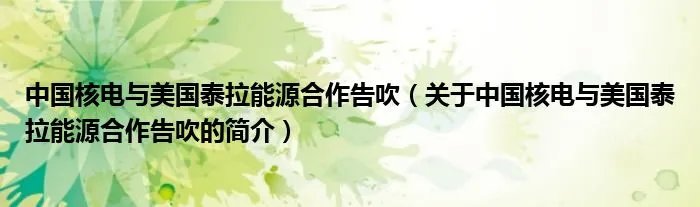 中国核电与美国泰拉能源合作告吹（关于中国核电与美国泰拉能源合作告吹的简介）