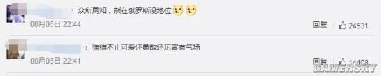 俄罗斯一黑猫逼退棕熊 网友:是不是罗小黑?