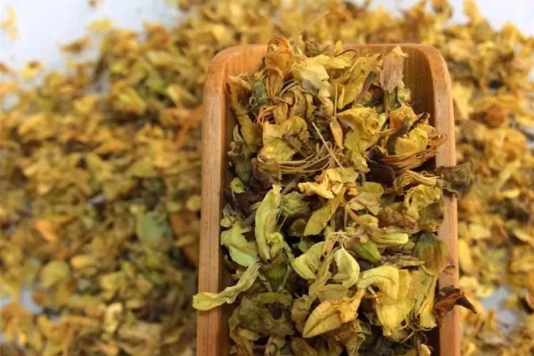 槐花图片大全