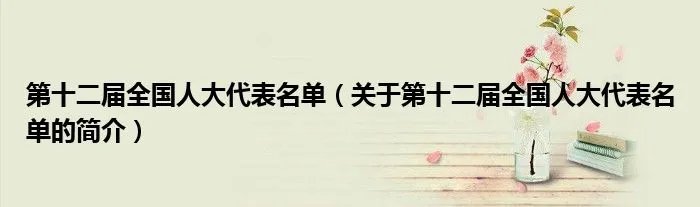 第十二届全国人大代表名单（关于第十二届全国人大代表名单的简介）