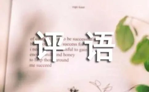 常用的作文评语
