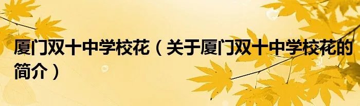 厦门双十中学校花（关于厦门双十中学校花的简介）