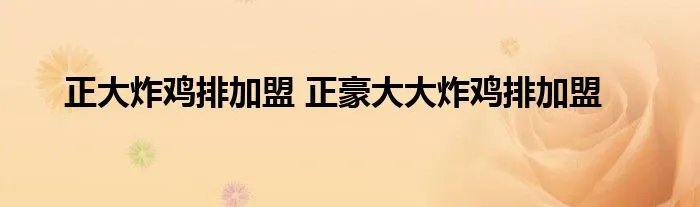 正大炸鸡排加盟 正豪大大炸鸡排加盟