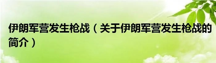 伊朗军营发生枪战（关于伊朗军营发生枪战的简介）