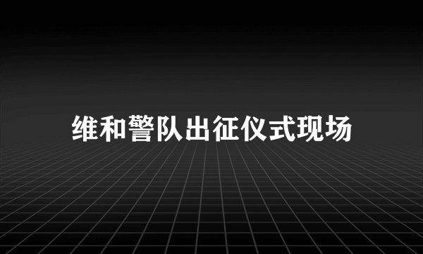 维和警队出征仪式现场
