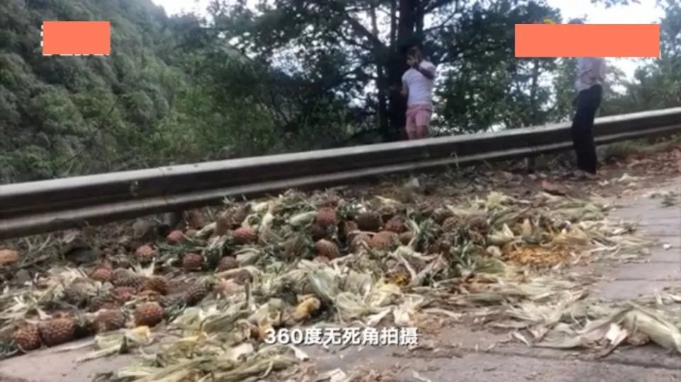 无下限主播直播吃象群食物:相关部门介入调查