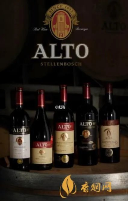 Alto是什么红酒多少钱?价格与品质完美匹配