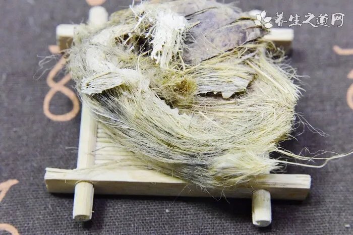 石首鱼