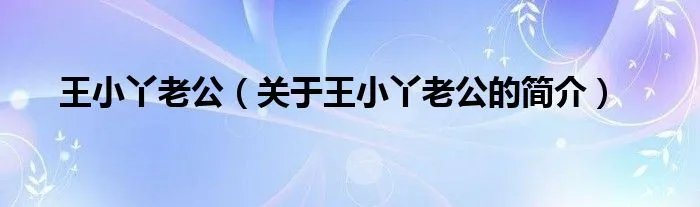 王小丫老公（关于王小丫老公的简介）