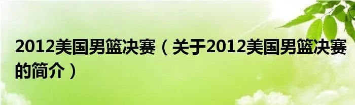 2012美国男篮决赛（关于2012美国男篮决赛的简介）