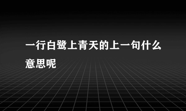 一行白鹭上青天的上一句什么意思呢