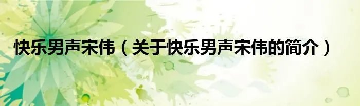 快乐男声宋伟(关于快乐男声宋伟的简介)