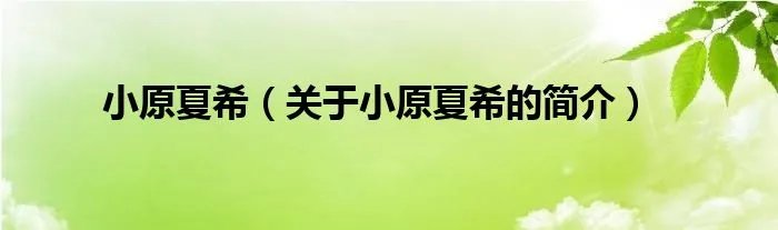 小原夏希（关于小原夏希的简介）