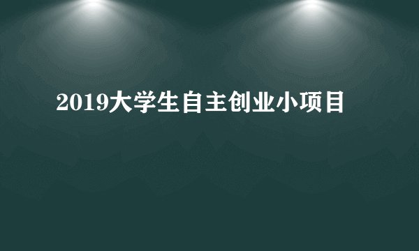 2019大学生自主创业小项目
