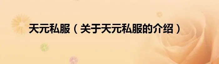 天元私服（关于天元私服的介绍）