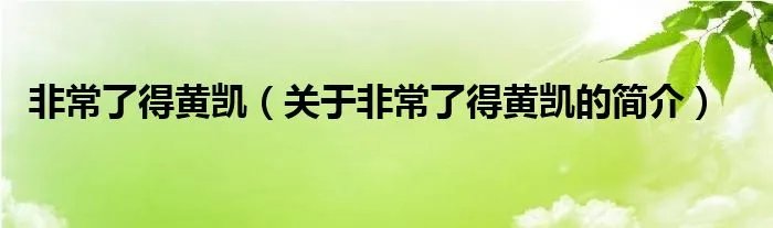 非常了得黄凯（关于非常了得黄凯的简介）