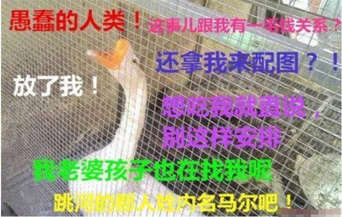 婆媳争吵中男子跳河结果如何?