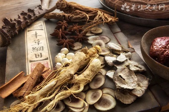 石龙子的功效与作用