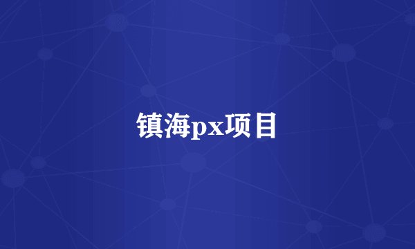 镇海px项目