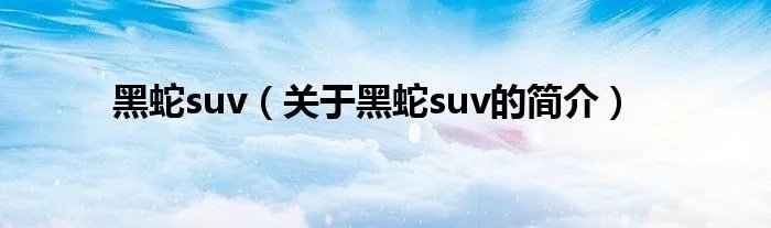 黑蛇suv（关于黑蛇suv的简介）