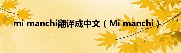 mi manchi翻译成中文（Mi manchi）