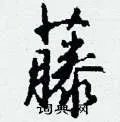藤组词_藤字怎么组词_藤组词有哪些_带藤字的词语