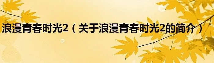 浪漫青春时光2（关于浪漫青春时光2的简介）