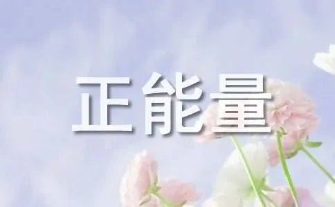 每日分享的正能量语录