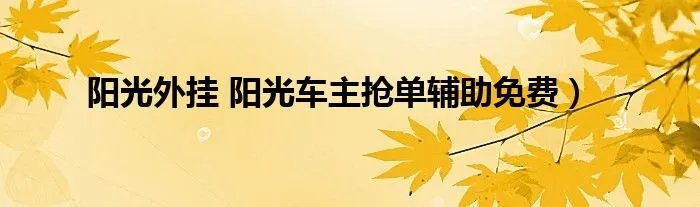 阳光外挂 阳光车主抢单辅助免费）