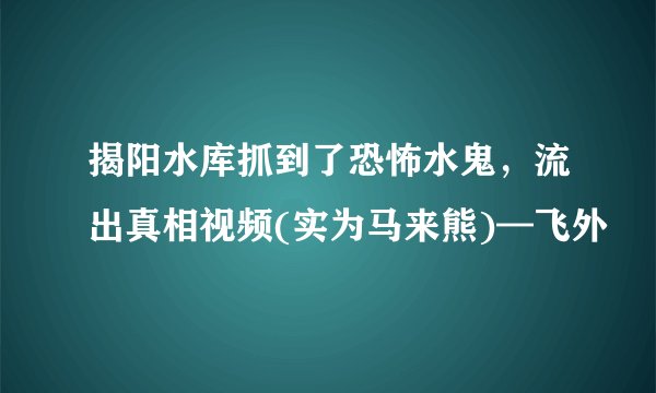 揭阳水库抓到了恐怖水鬼,流出真相视频(实为马来熊)—飞外