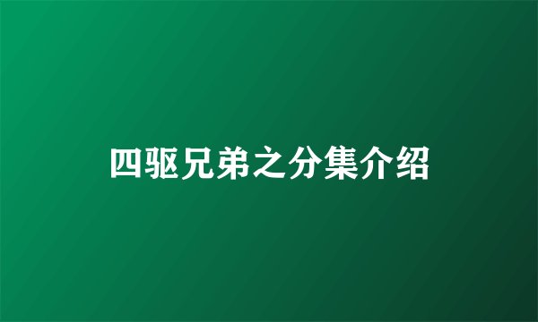 四驱兄弟之分集介绍