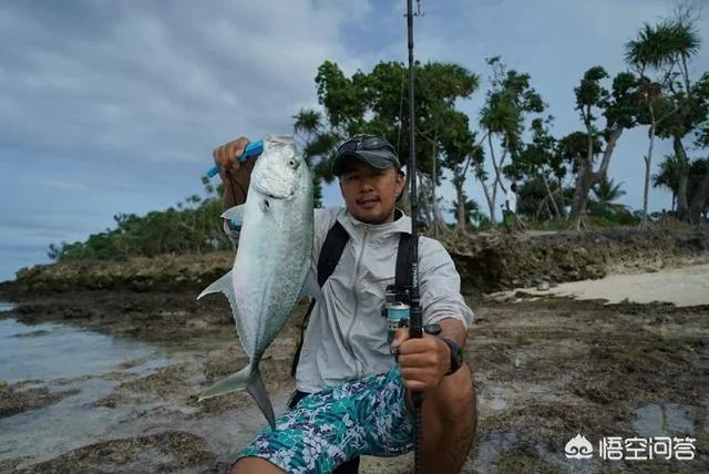 除了《游钓中国》,你还喜欢什么钓鱼类视频?