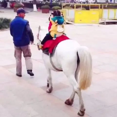 雪天骑马撞人逃逸将受到什么处罚?