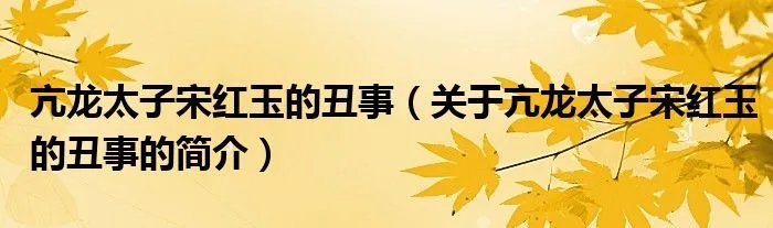 亢龙太子宋红玉的丑事（关于亢龙太子宋红玉的丑事的简介）