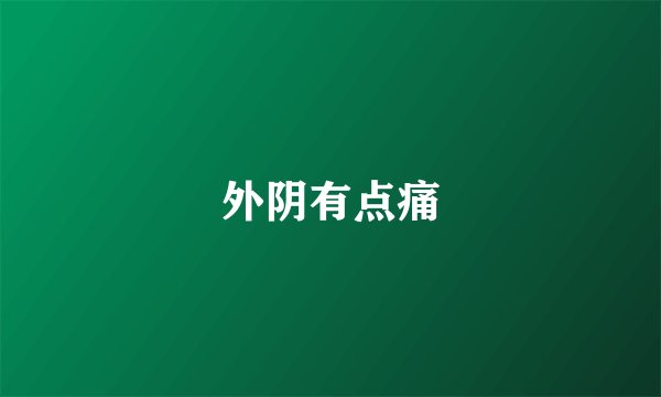 外阴有点痛
