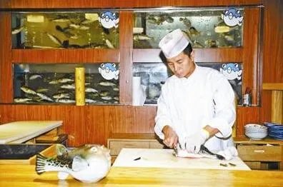 食用河豚正式解禁 第一批先开放两个品种