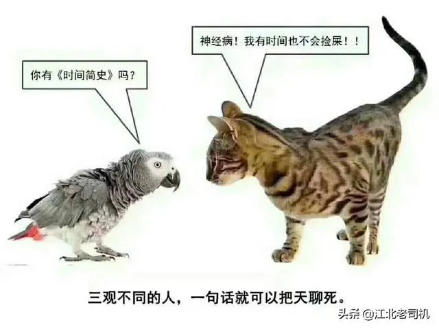 发放防暑降温用品的形式有哪些?