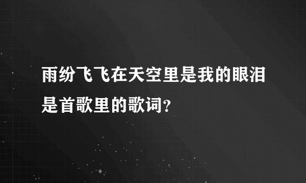 雨纷飞飞在天空里是我的眼泪是首歌里的歌词？