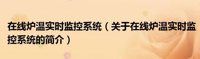 在线炉温实时监控系统（关于在线炉温实时监控系统的简介）