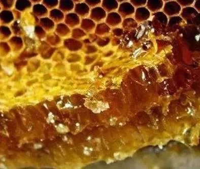 血液垃圾的天敌!中年以后一定要记得吃!(图文介绍)