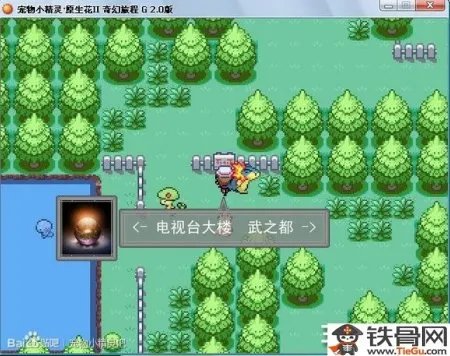 宠物小精灵原生花2