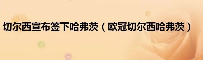 切尔西宣布签下哈弗茨(欧冠切尔西哈弗茨)