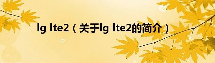 lg lte2(关于lg lte2的简介)
