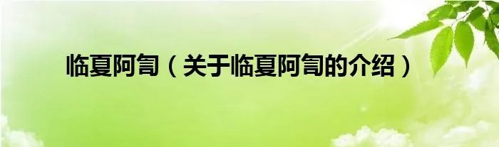 临夏阿訇（关于临夏阿訇的介绍）