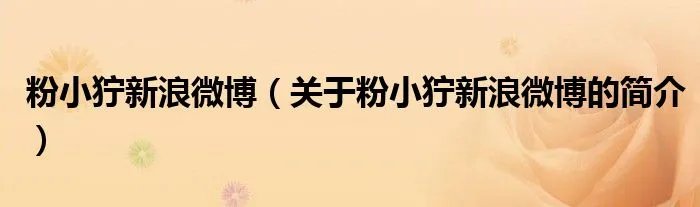 粉小狞新浪微博（关于粉小狞新浪微博的简介）