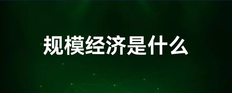 规模经济是什么