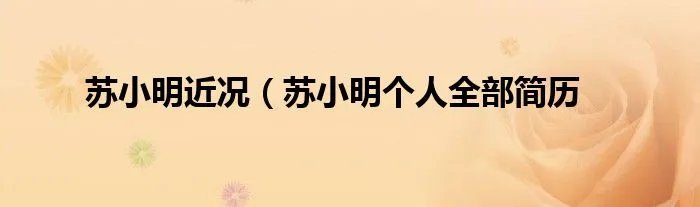 苏小明近况（苏小明个人全部简历