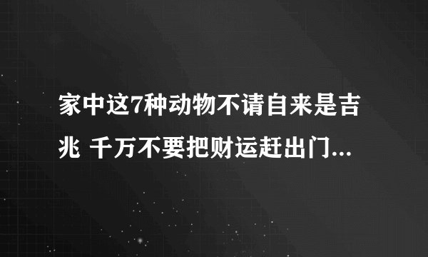 家中这7种动物不请自来是吉兆 千万不要把财运赶出门_飞外网