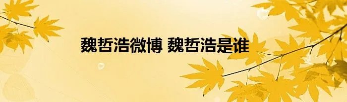 魏哲浩微博 魏哲浩是谁