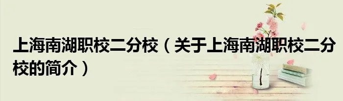 上海南湖职校二分校（关于上海南湖职校二分校的简介）